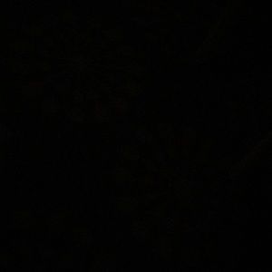 Meet your Posher, Pedro